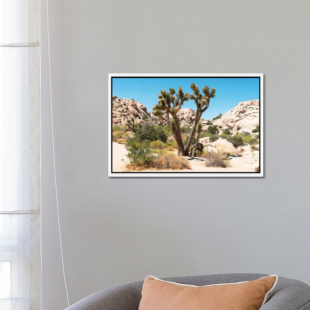 Amerikanischer Westen - Joshua Tree Wüste von Philippe Hugonnard - Galerie-umwickelte Leinwand Giclée auf Leinwand