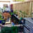 Inches Bamboo Pole Fencing    -49500085