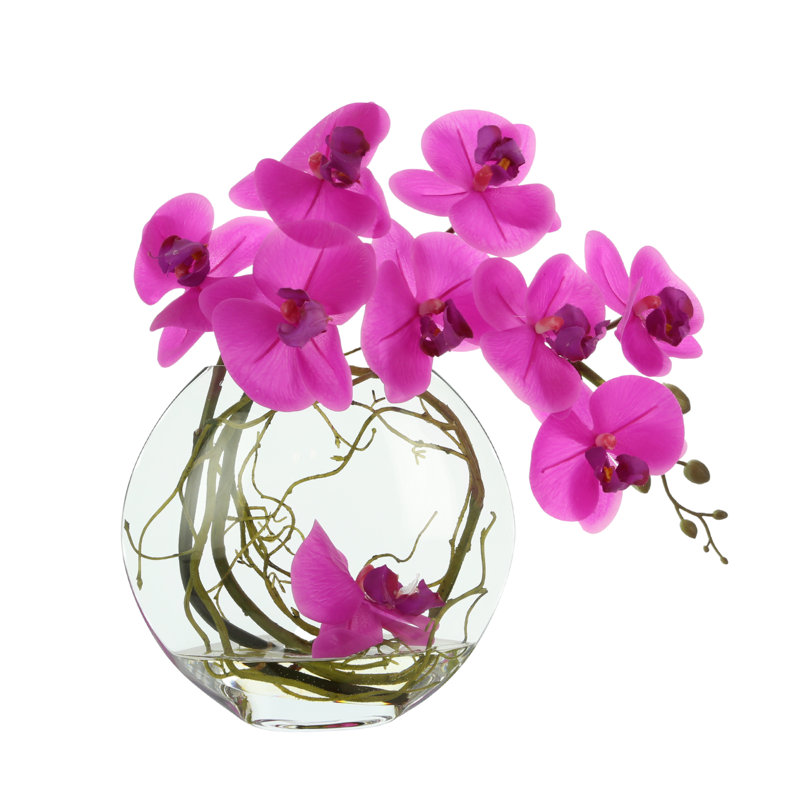 Whisman Orchid Arrangement in Round Glass Vase with Vines, Magenta