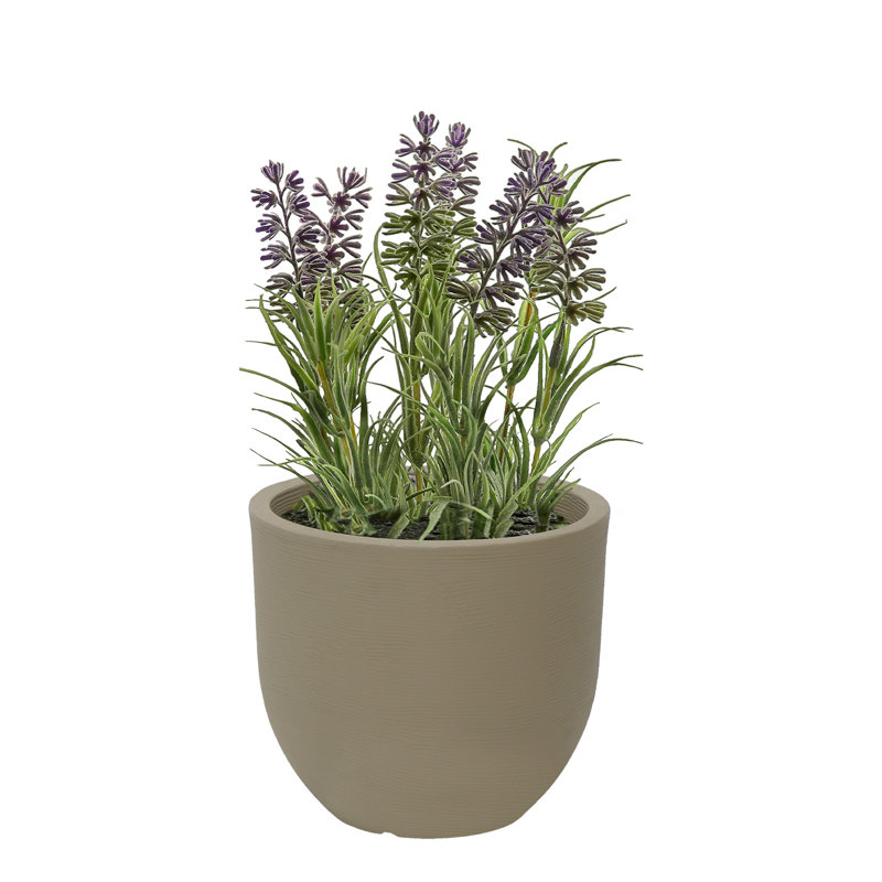 Plant Pot, Beige