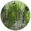 Tapis extérieur rond rond 8 po