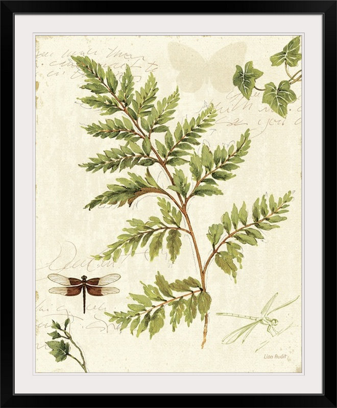 «Ivies and Ferns I» par Lisa Audit, impression, H 38 po x l 32 po x P 1 po, Cadre noir