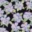 Schumacher x Victor Glemaud Fabienne Fabric-70182171