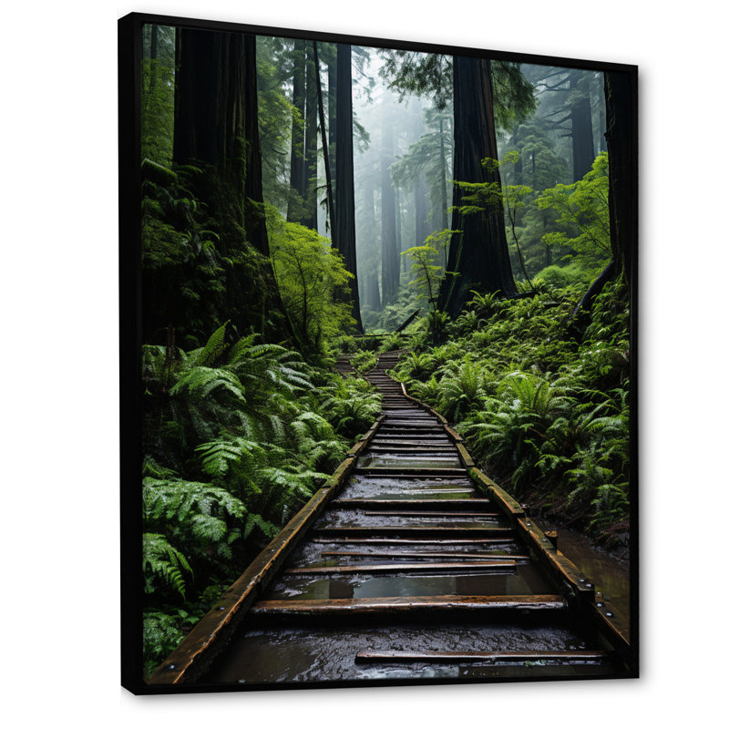 «USA Muir Woods National Monument II», reproduction d'art sur toile, H 40 po x l 30 po x P 1,5 po, Cadre flottant noir