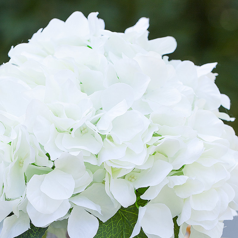Arrangement floral d'hortensia en soie artificielle dans un vase en verre avec de l'eau artificielle, Crème