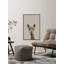 Llama Face VI - Floater Frame Print on Canvas-1141907512