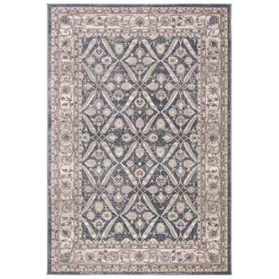 Walken Performance Oriental Rug