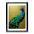 Black Framed selected