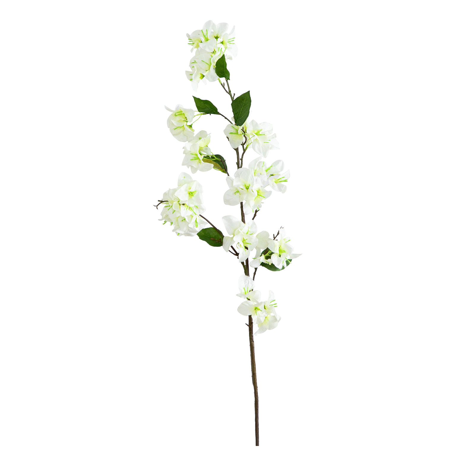Bougainvillea Floral Stems, Cream