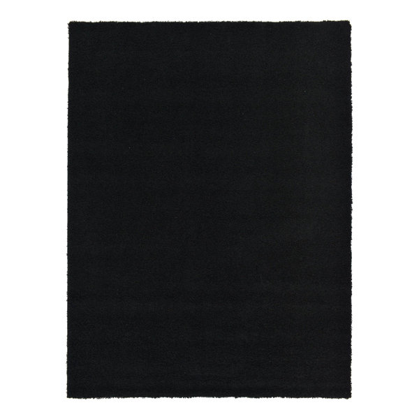 https://assets.wfcdn.com/im/65017951/resize-h600-w600%5Ecompr-r85/1981/198127271/Santoshi+Performance+Jet+Black+Rug.jpg