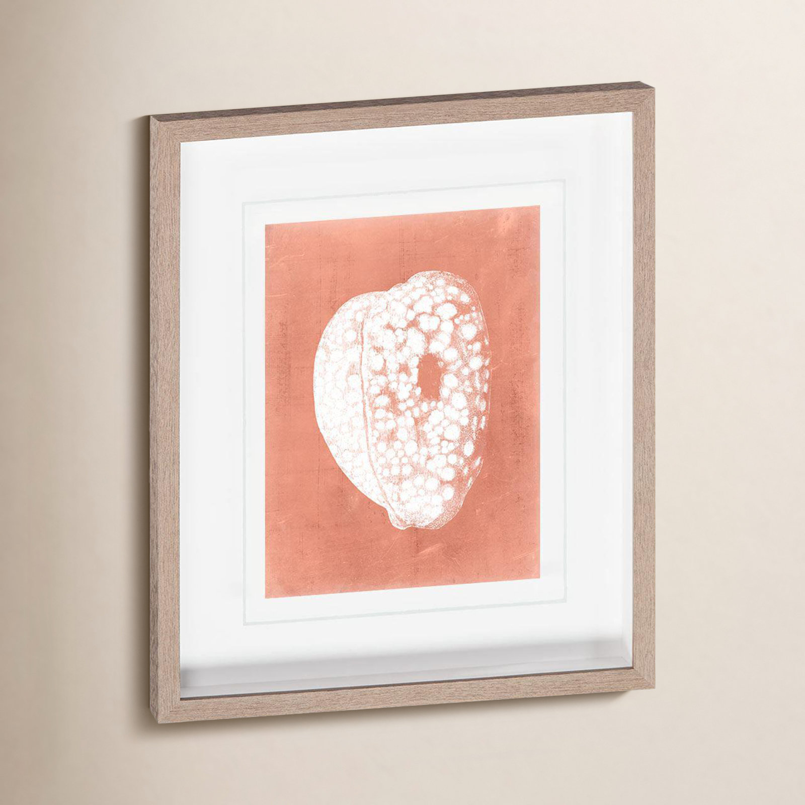 Sealife on Coral III by Vision Studio Hand Embelished Textured Framed Art Print Matted under Glass, Sealife on Coral III