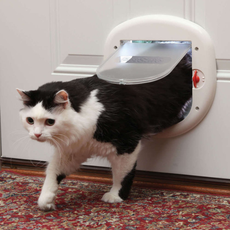  4-Way Locking Big Cat Door