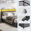 Lit Rediona-1147005466-1146382598