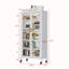 Buffet 15,75 po Ravita-1913704107