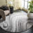 Priam Performance Abstract Rug-1040554516