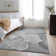 Premium Machine Washable Cerrito AMF517 Gray Rug