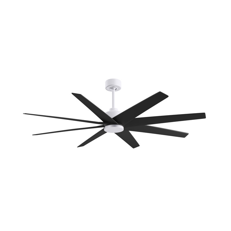 Ariella - Eight Blade Ceiling Fan - Brushed Brass Finish - Matte Black Blades, Matte White, Matte Black