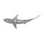 Décoration murale requin baleine