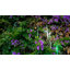 Guirlande lumineuse à DEL de Noël-1136608020