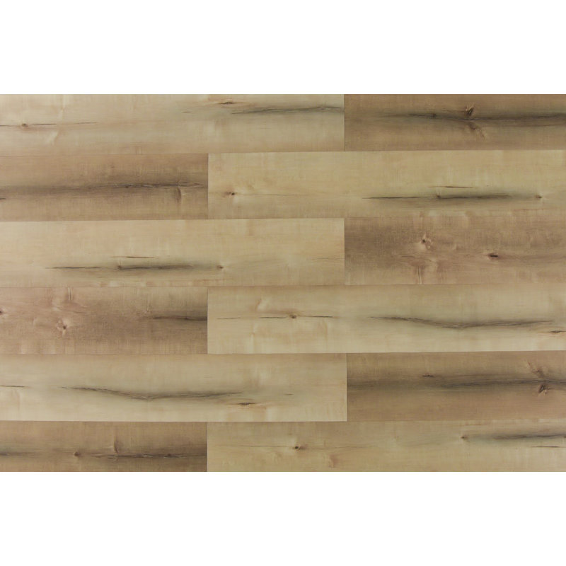 Planche en vinyle WPC de 7 po x 48 po x 8,5 mm, Sable des Caraïbes
