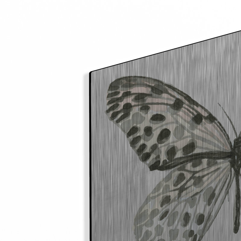 "Butterfly 3" par Stellar Design Studio, H 12 po x l 16 po