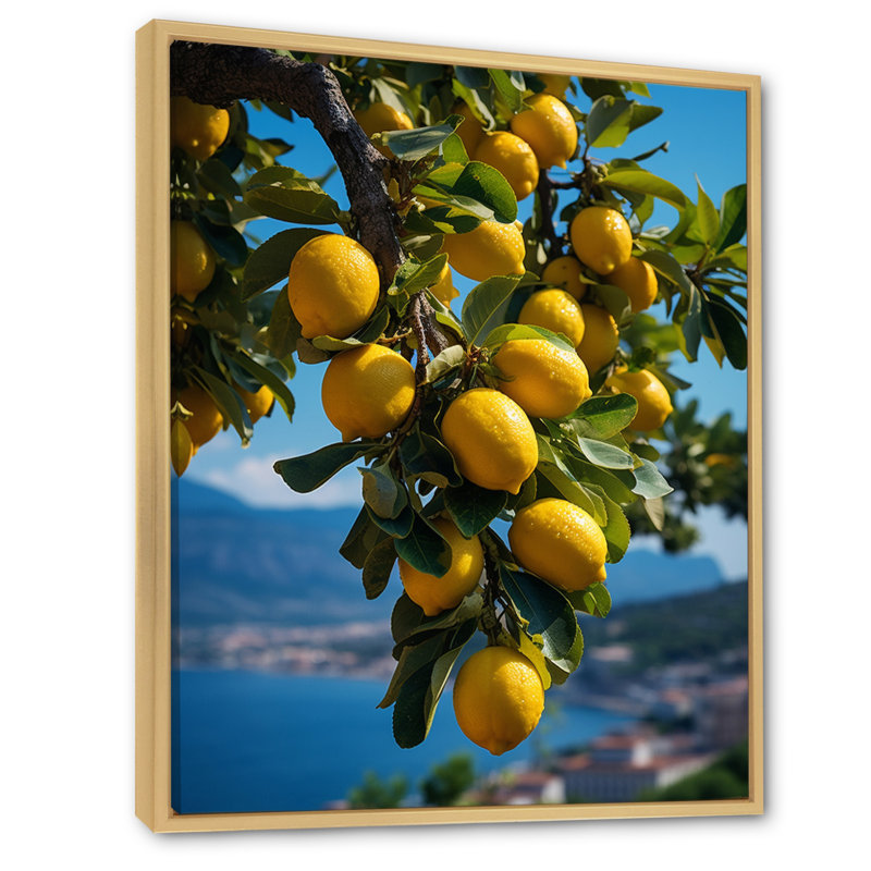 " Italy Sorrento Serenade II ", 32" H x 24" W x 1" D, Natural Floater Framed