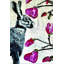 Magnolia-472843668-498480600-498480603