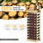 Monish 40 Bottle Solid Wood Floor Wine Bottle Rack in Beige