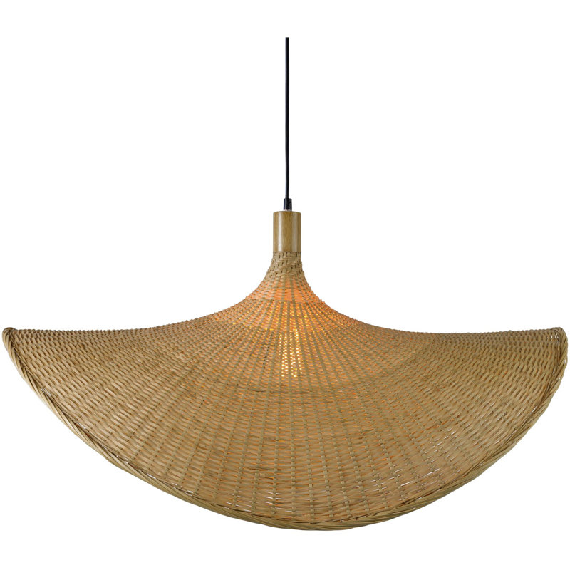 Luminaire suspendu 1 lumière Dickerson
