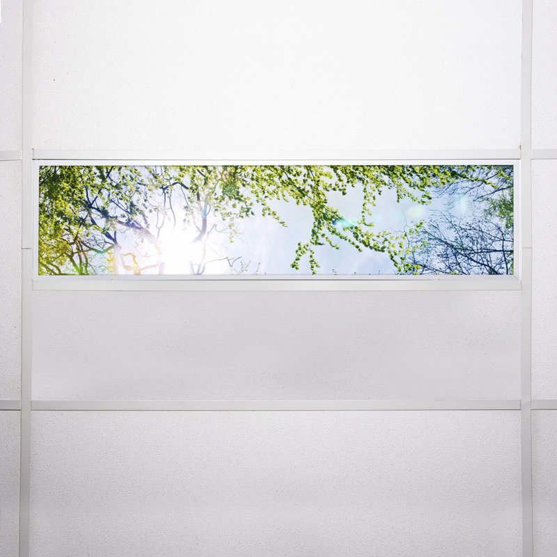 Tree Rectangle Fixture Component Ceiling Light