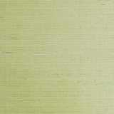 Essential Grasscloths Wallpaper Roll