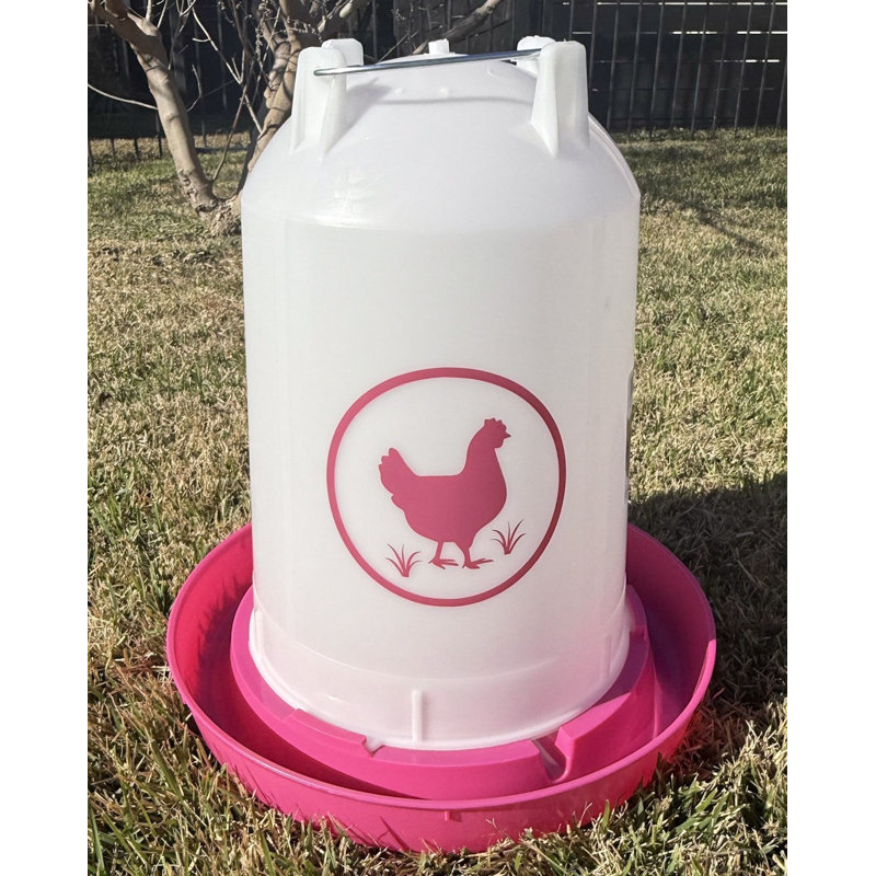Abreuvoir à poulet 3,7 gallons - Fuchsia, 3,7 gallons, Rose