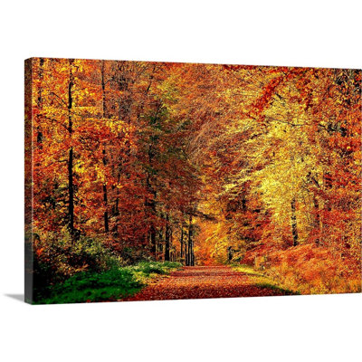 " Autumn Way " by Philippe Sainte-Laudy
