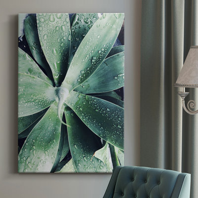 " Green Tropical Succulent III "