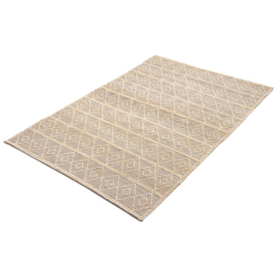 Iagulli Performance Hand Braided Wool Rug
