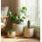 Planter Set Polyresin Carved Sculptural Design Decorative Indoor Outdoor Container Pots Contemporary Minimalist Style Durable Lightweight Construction Set Of 3-1874343074