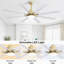 Ventilateur de plafond 66 pouces à profil bas en ABS avec lumières à intensité variable et télécommande, moteur CC réversible à 6 vitesses pour l'intérieur-1742893196-1742893200