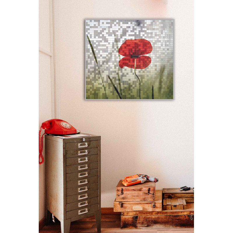 Poppy - Single Picture Frame Print on Metal