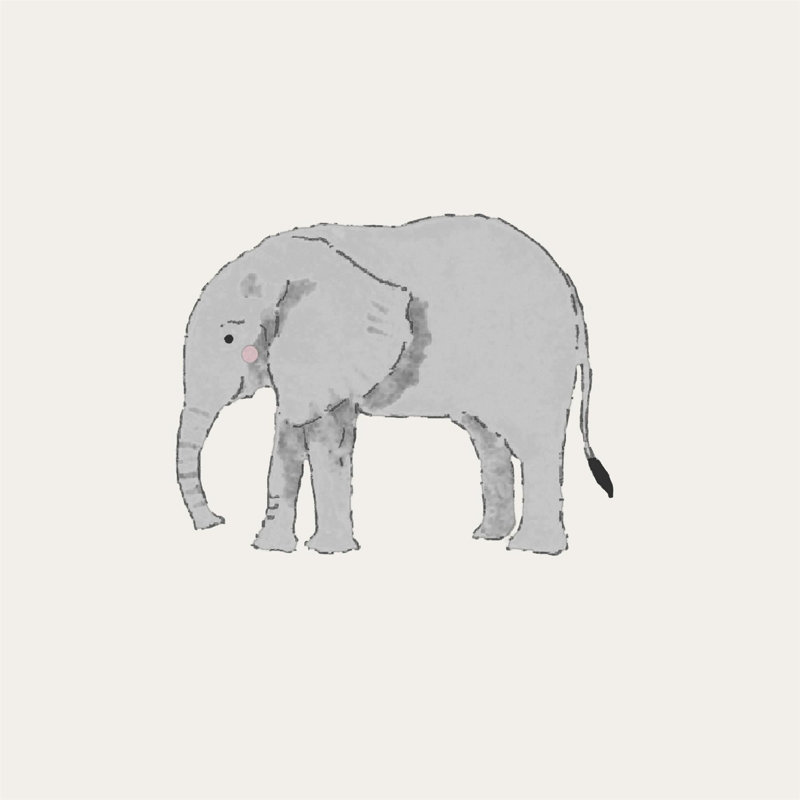 Derek 10m x 53cm Matte Wallpaper Roll