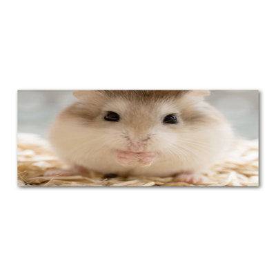 Hamster - No Frame Print on Canvas
