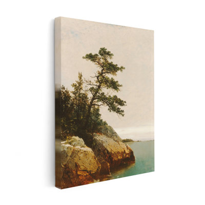 The Old Pine