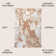 Clemencio Abstract Marbled Modern Orange/Cream Rug