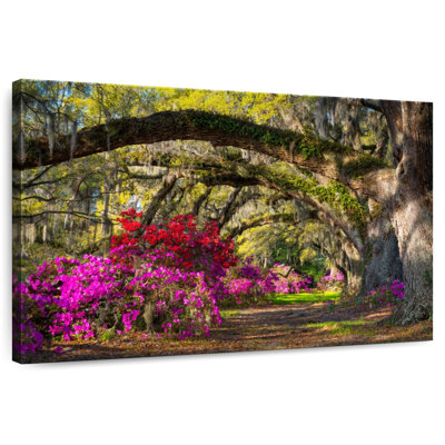 Ravi Azalea Flower Garden