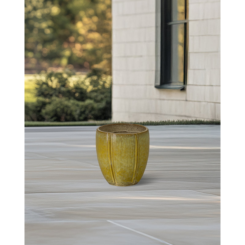 CREST PLANT, NEIGE, H 10 po x l 9 po x P 9 po, Jaune