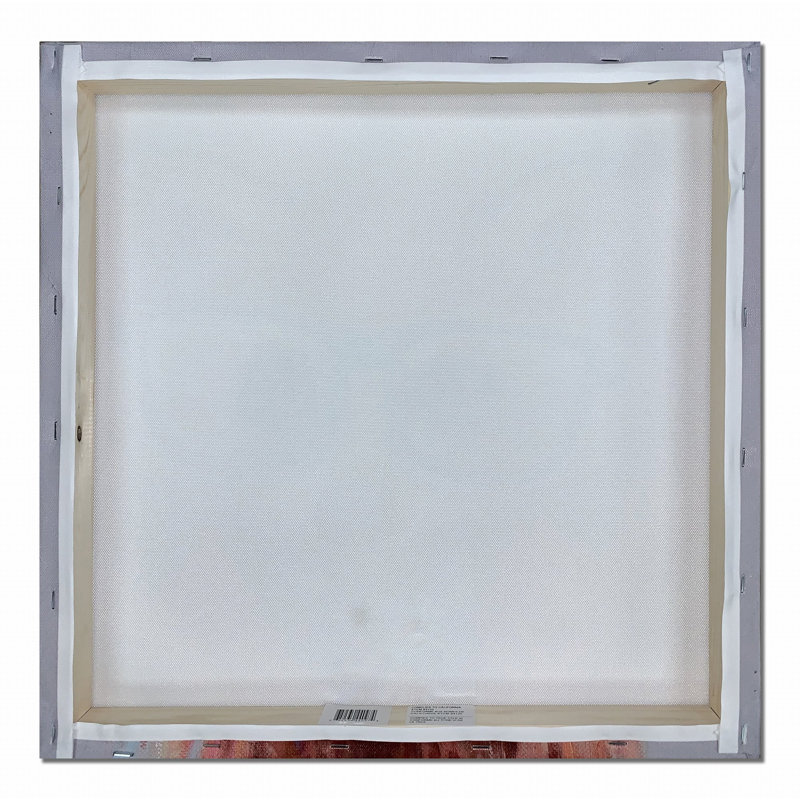 Art sur toile fleur de cactus, H 16 po x l 16 po