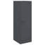 Alyda Steel Accent Cabinet-893228390