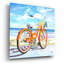 Art mural en verre Rosecliff Heights «My Orange Pride» par Scott Westmoreland-263474674