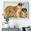 Sheep Dogs - Reproduction d'art sur toile encadrée-2088790028-2088790030