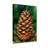 Christmas Pine Cone With Berries And Greenery