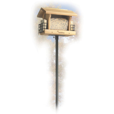 Birdhouse Pole
